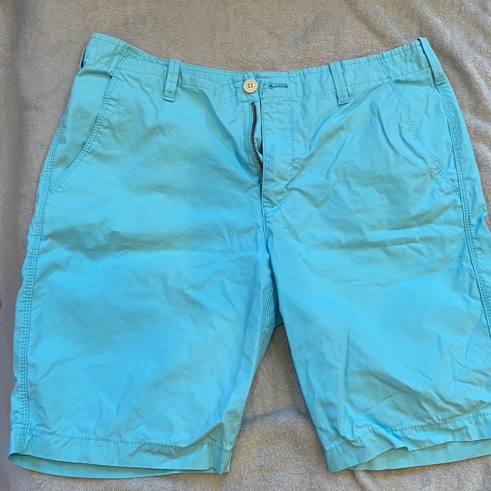 Men’s Express Blue Flat Front Summer Shorts